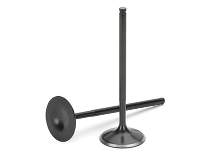 SPT Exhaust Valves